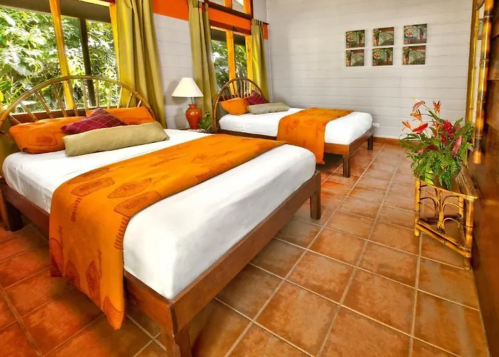 Hôtel central: Pachira Lodge